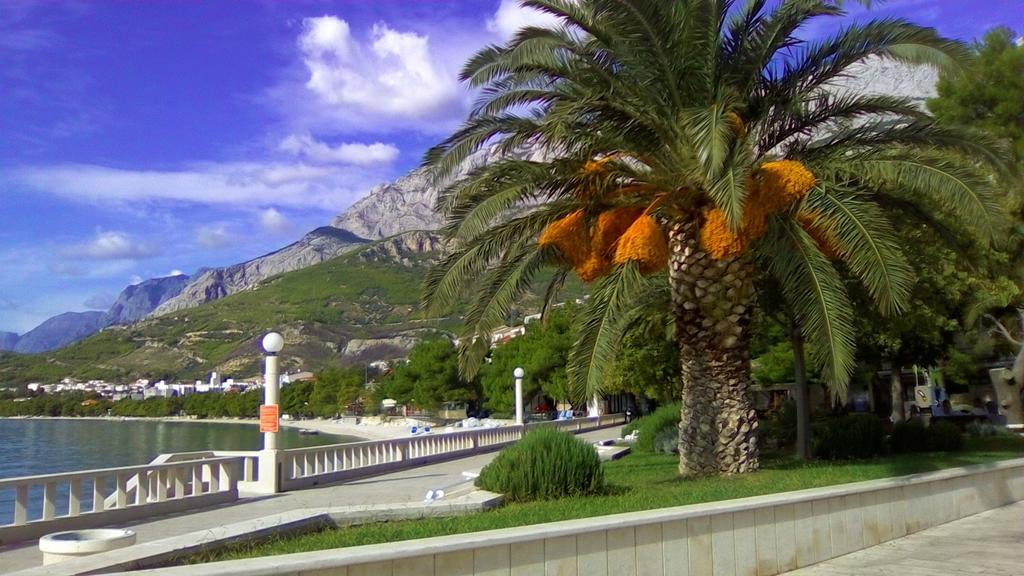 Apartments Malina Tučepi Dış mekan fotoğraf