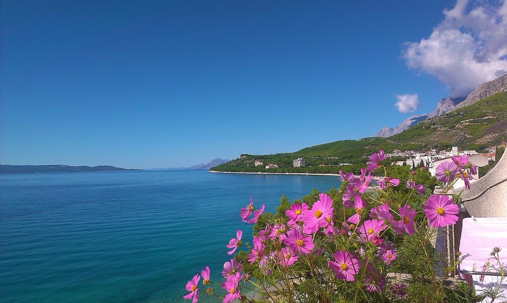 Apartments Malina Tučepi Dış mekan fotoğraf
